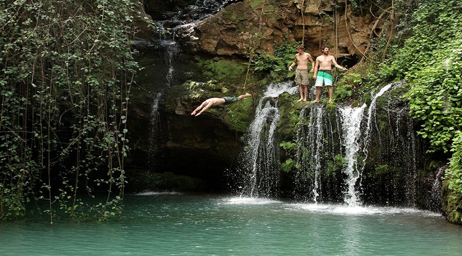 ngare ndare forest excursion